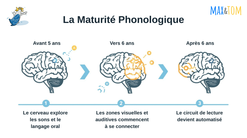 À quel âge un enfant apprend à lire : les repères de la maturité phonologique